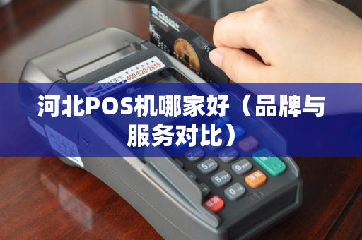河北POS机哪家好（品牌与服务对比）