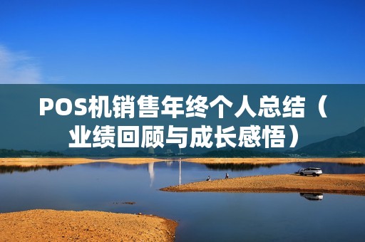 POS机销售年终个人总结（业绩回顾与成长感悟）