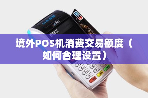 境外POS机消费交易额度（如何合理设置）