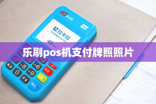 乐刷pos机支付牌照照片