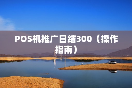 POS机推广日结300（操作指南）