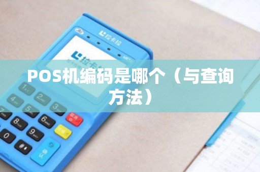 POS机编码是哪个（与查询方法）