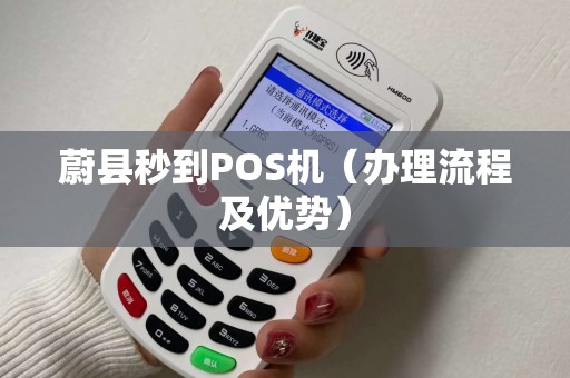 蔚县秒到POS机（办理流程及优势）