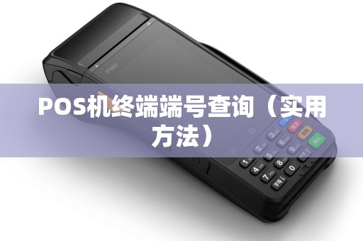 POS机终端端号查询（实用方法）