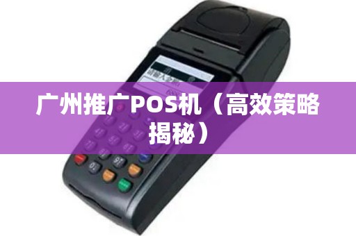 广州推广POS机（高效策略揭秘）