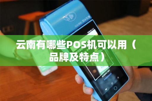 云南有哪些POS机可以用（品牌及特点）