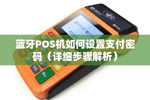 蓝牙POS机如何设置支付密码（详细步骤解析）