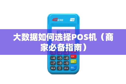 大数据如何选择POS机（商家必备指南）