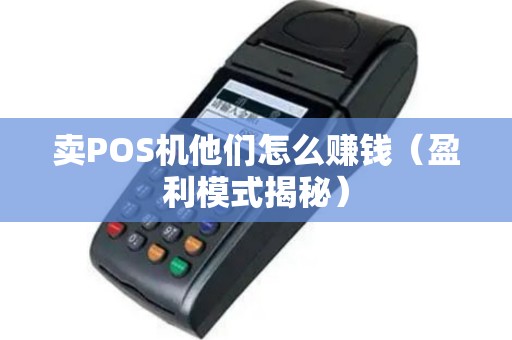 卖POS机他们怎么赚钱（盈利模式揭秘）