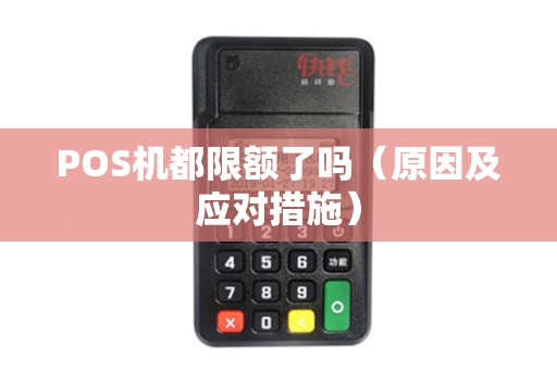 POS机都限额了吗（原因及应对措施）