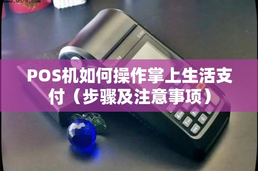 POS机如何操作掌上生活支付（步骤及注意事项）