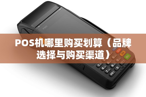 POS机哪里购买划算（品牌选择与购买渠道）