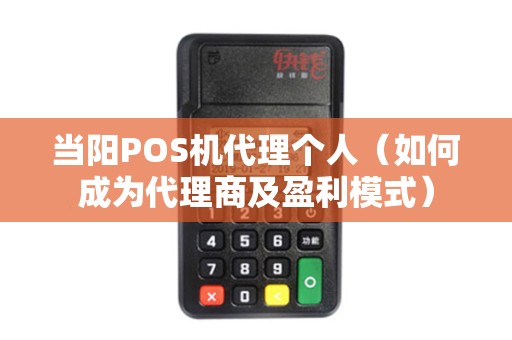 当阳POS机代理个人（如何成为代理商及盈利模式）