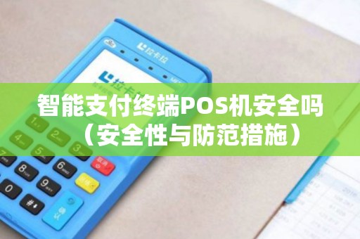 智能支付终端POS机安全吗（安全性与防范措施）
