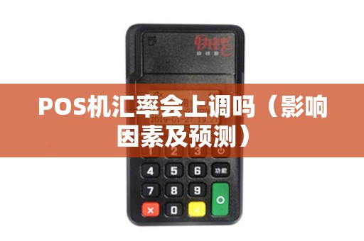 POS机汇率会上调吗（影响因素及预测）