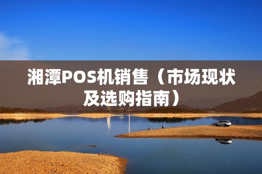 湘潭POS机销售（市场现状及选购指南）