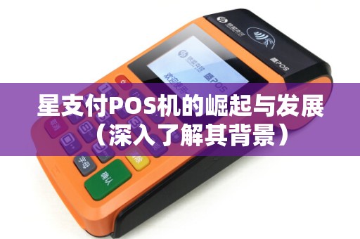 星支付POS机的崛起与发展（深入了解其背景）