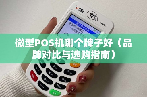 微型POS机哪个牌子好（品牌对比与选购指南）