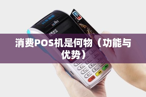 消费POS机是何物（功能与优势）