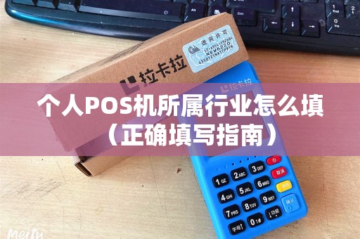 个人POS机所属行业怎么填（正确填写指南）