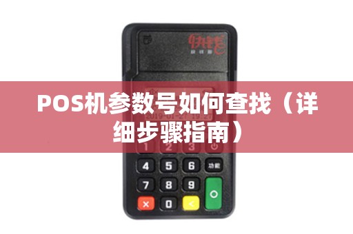 POS机参数号如何查找（详细步骤指南）