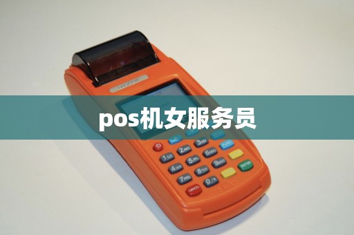 pos机女服务员