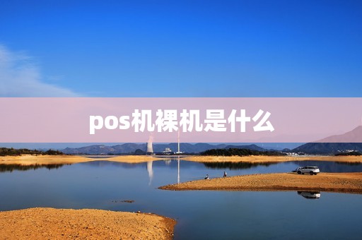 pos机裸机是什么