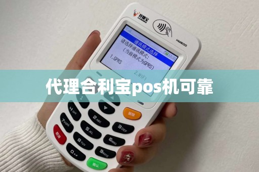 代理合利宝pos机可靠