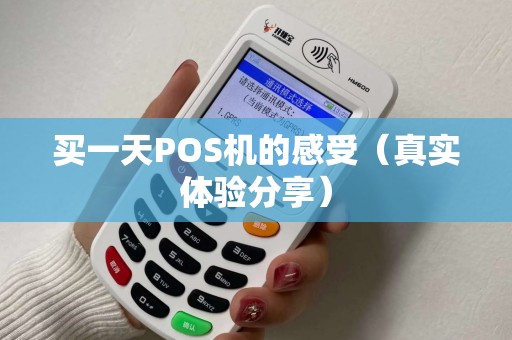 买一天POS机的感受（真实体验分享）