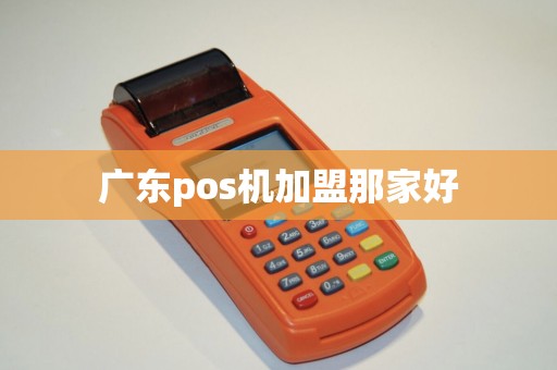 广东pos机加盟那家好