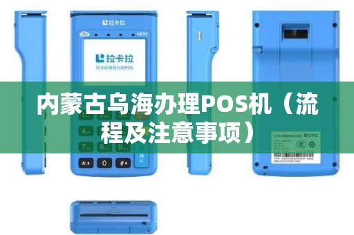 内蒙古乌海办理POS机（流程及注意事项）