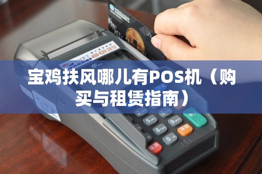 宝鸡扶风哪儿有POS机（购买与租赁指南）