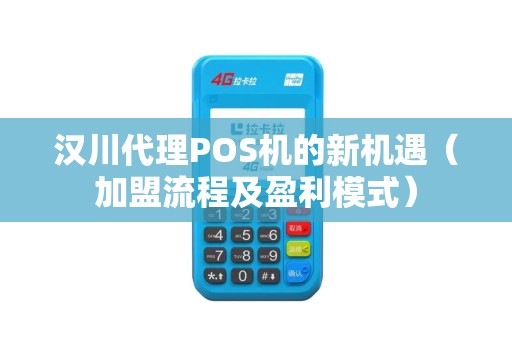 汉川代理POS机的新机遇（加盟流程及盈利模式）