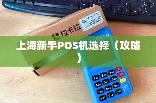 上海新手POS机选择（攻略）