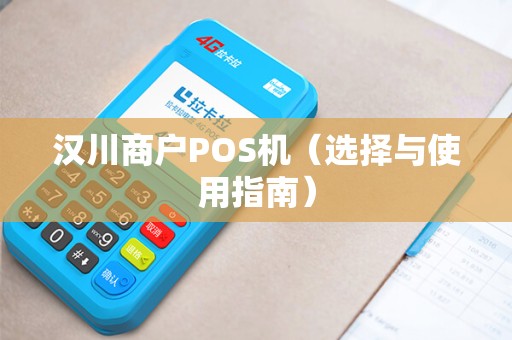 汉川商户POS机（选择与使用指南）