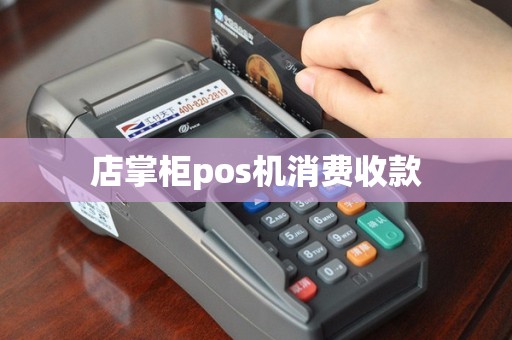 店掌柜pos机消费收款