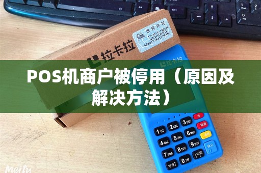 POS机商户被停用（原因及解决方法）