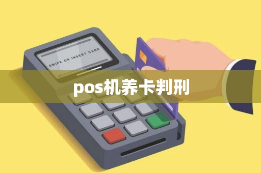 pos机养卡判刑
