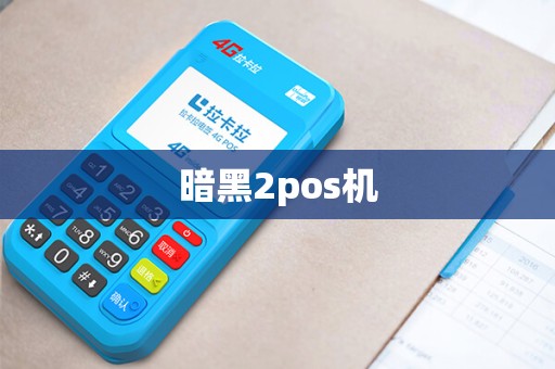 暗黑2pos机
