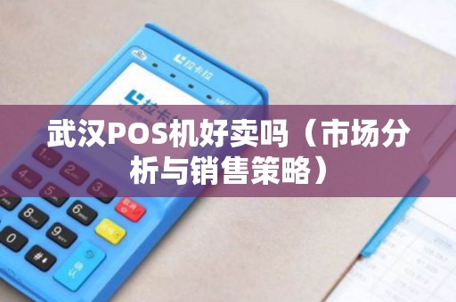 武汉POS机好卖吗（市场分析与销售策略）