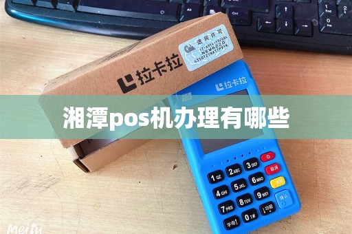 湘潭pos机办理有哪些