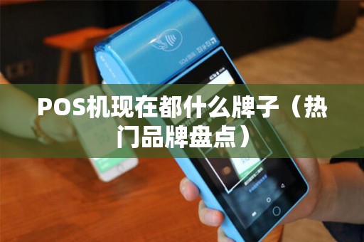 POS机现在都什么牌子（热门品牌盘点）