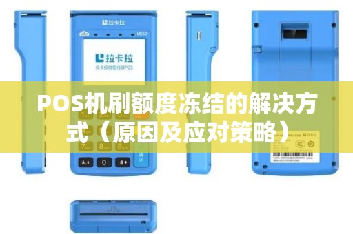 POS机刷额度冻结的解决方式（原因及应对策略）