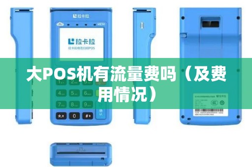 大POS机有流量费吗（及费用情况）