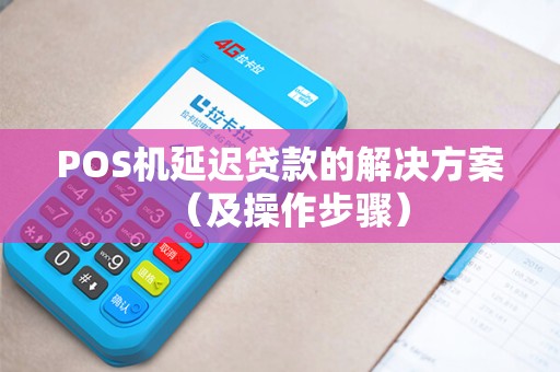 POS机延迟贷款的解决方案（及操作步骤）