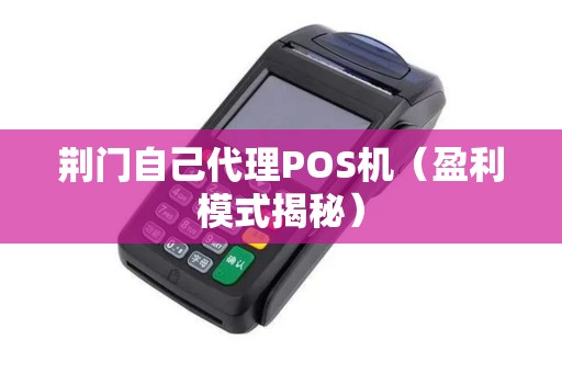 荆门自己代理POS机（盈利模式揭秘）