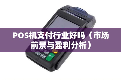 POS机支付行业好吗（市场前景与盈利分析）