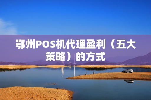 鄂州POS机代理盈利（五大策略）的方式