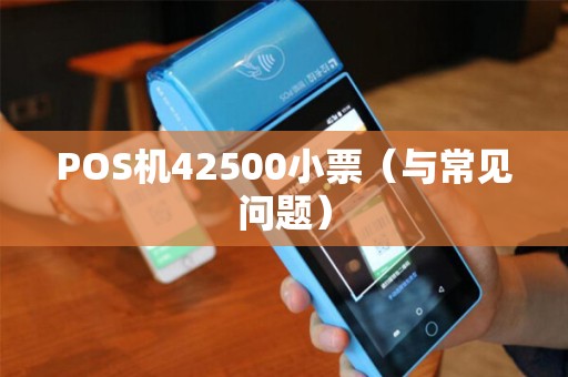 POS机42500小票（与常见问题）