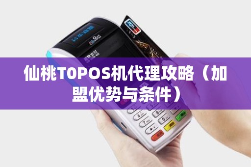 仙桃T0POS机代理攻略（加盟优势与条件）
